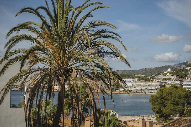 Apartamentos Delfin Casa Vida 11