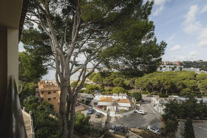 Apartamentos Delfin Casa Vida 25