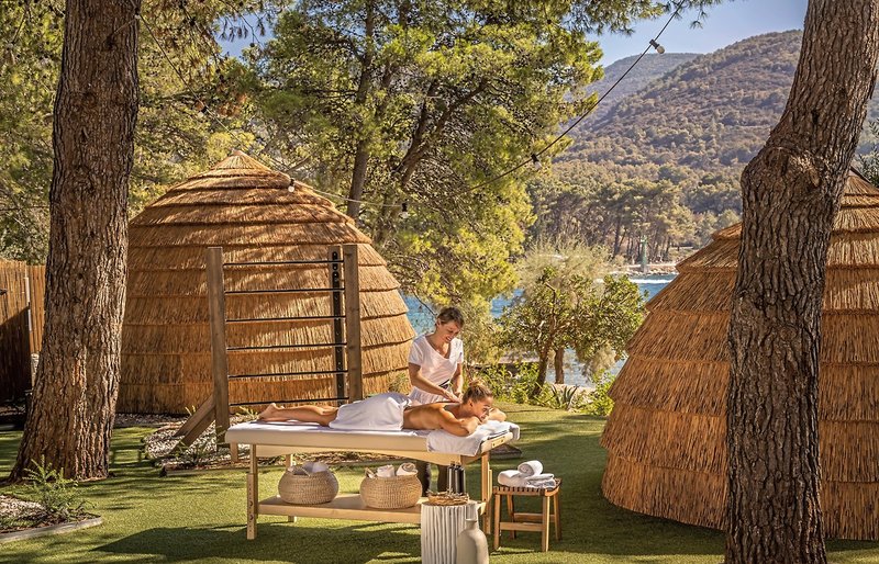 Lavanda Starigrad 22