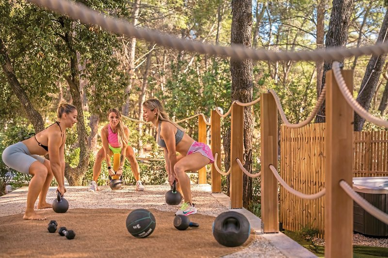 Lavanda Starigrad 24