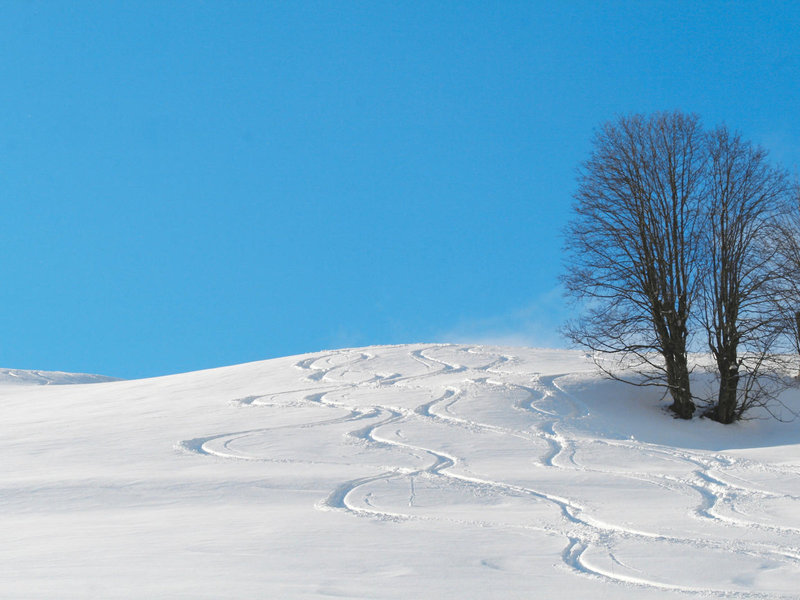 Gasthof Paternwirt 9