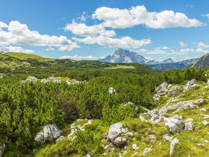 Gasthof Paternwirt 24