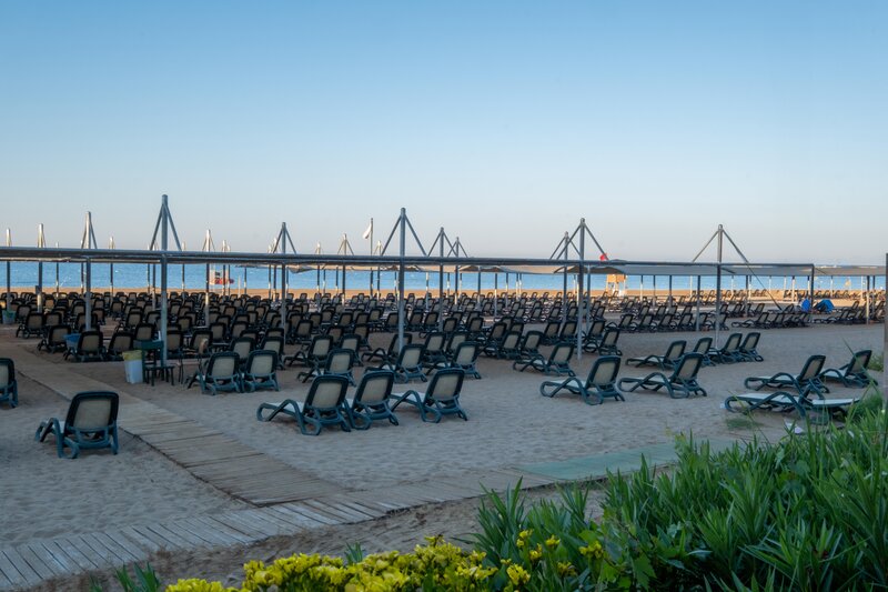 Side Crown Serenity 82