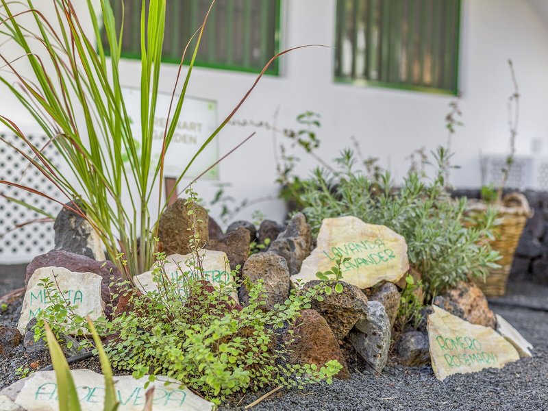 Club del Carmen 7 - Landscape