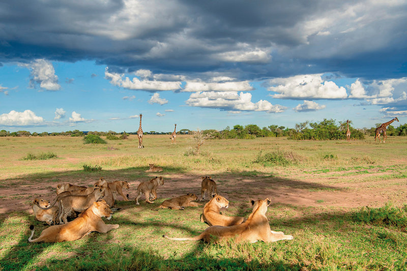 Singita Sabora Tented Camp 1