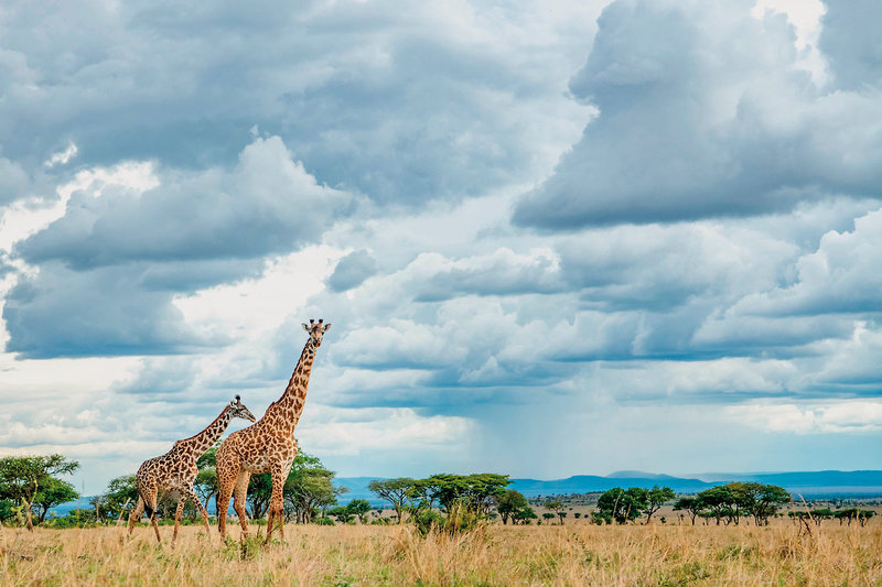 Singita Sabora Tented Camp 3