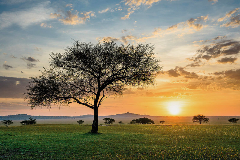 Singita Sabora Tented Camp 4