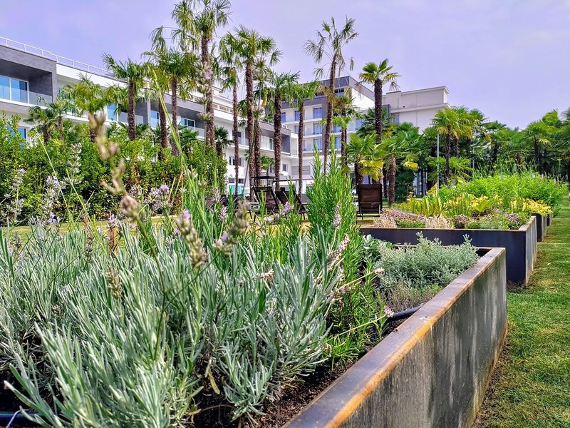 Hotel Terme Venezia 5