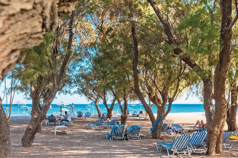 Stafilia Beach 4 - Beach