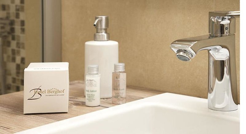 Berghof Söll 3 - Bathroom Example