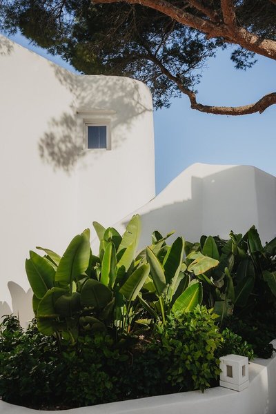 Fergus Style Punta Arabi 5