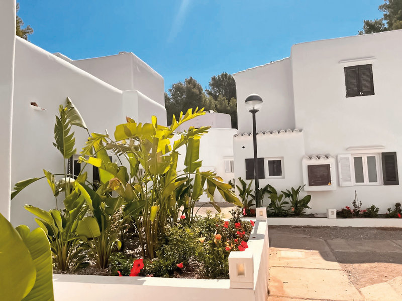 Fergus Style Punta Arabi 5