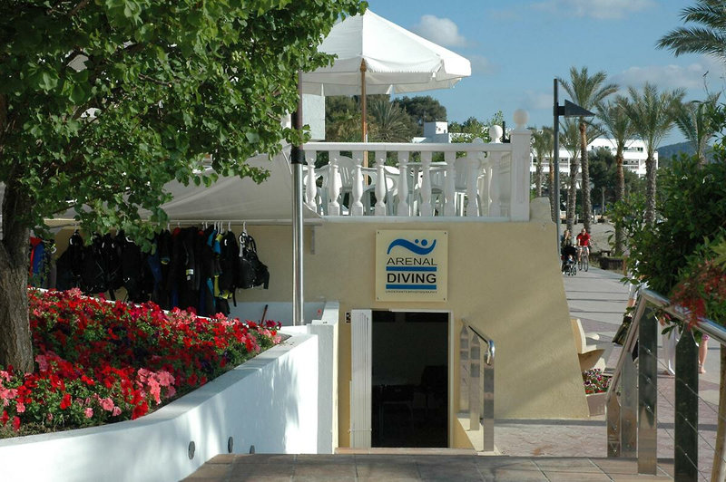 Arenal 12
