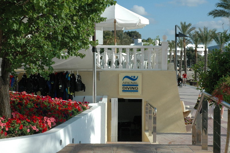 Arenal 10