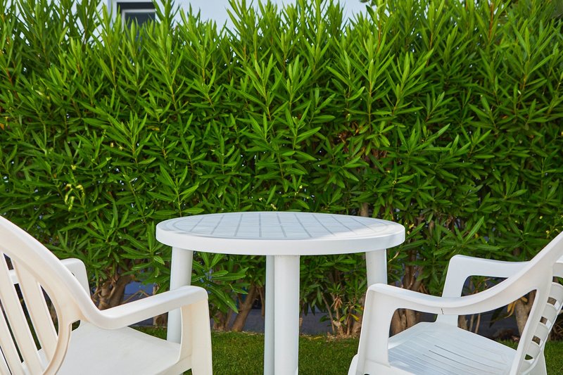 FERGUS Conil Park 17