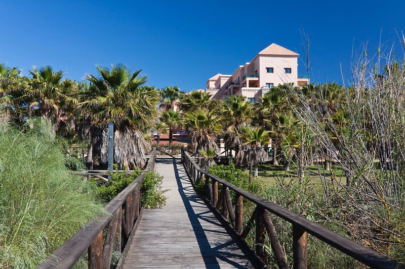 Playacanela 11 - Landscape