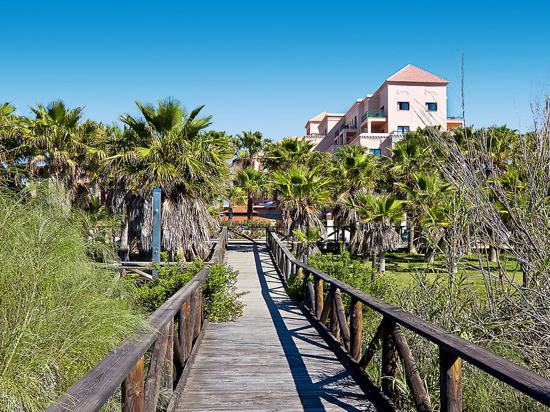 Playacanela 1 - Landscape
