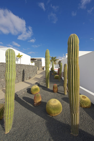 Iberostar La Bocayna Village 38