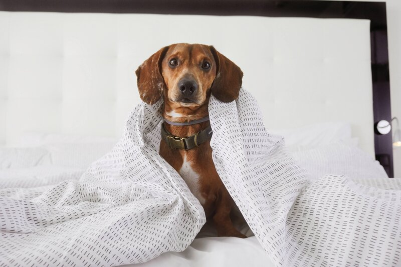 Sol House Ibiza by Melia 89