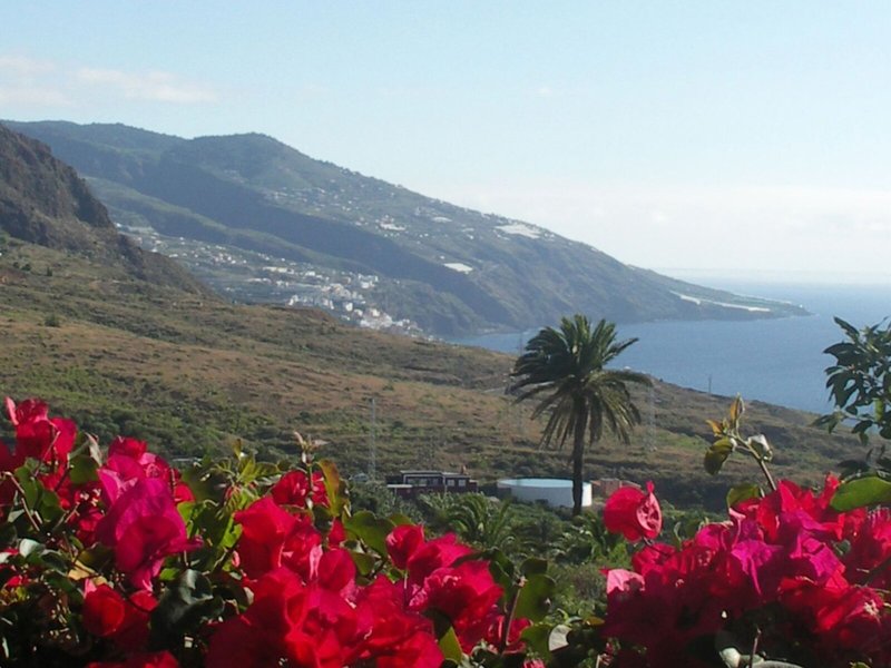 Apartamentos Miranda 6