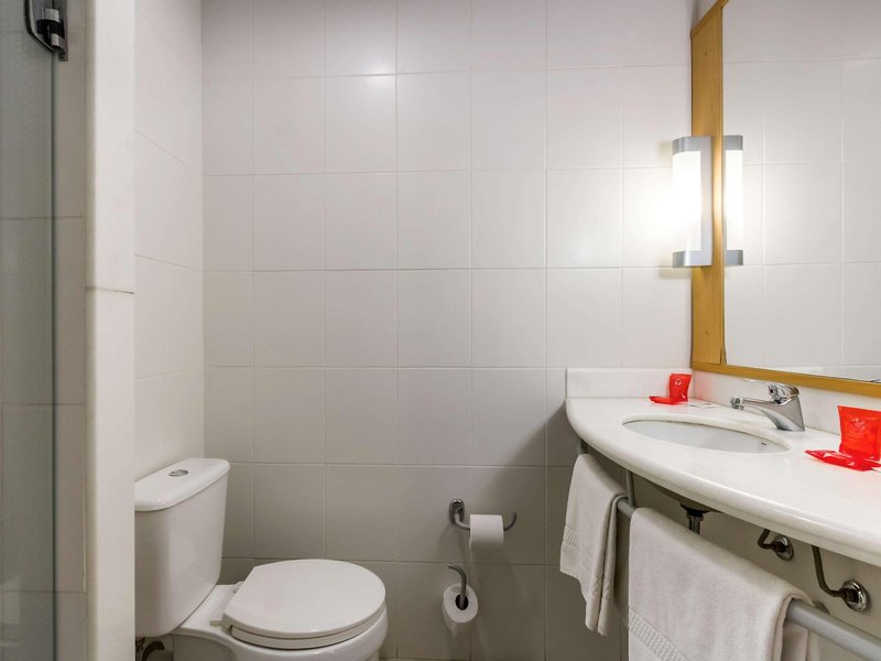ibis Jaboticabal 5 - Bathroom Example