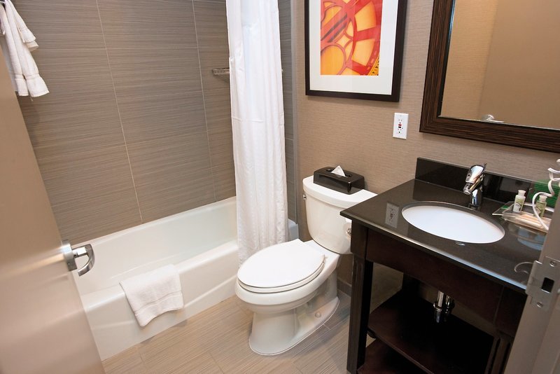 Holiday Inn Lower East Side 5