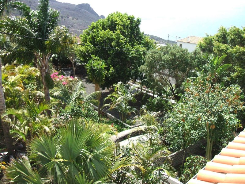 Apartamentos & Bungalows Finca Colon 3 - Landscape