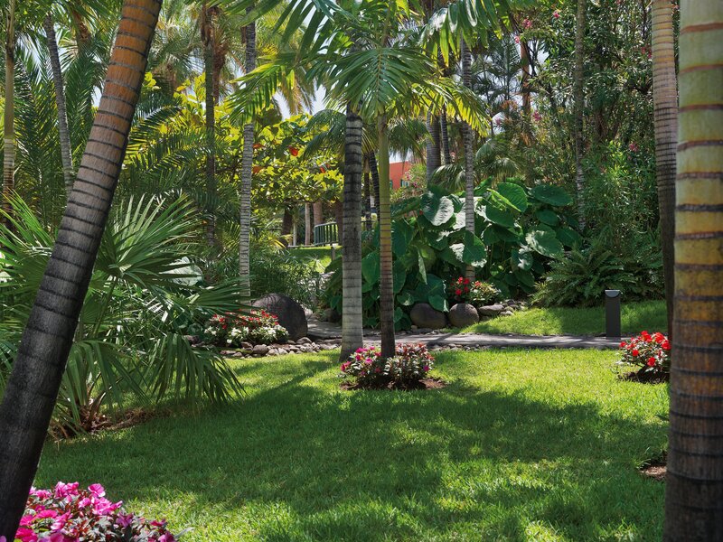 Hacienda San Jorge 34
