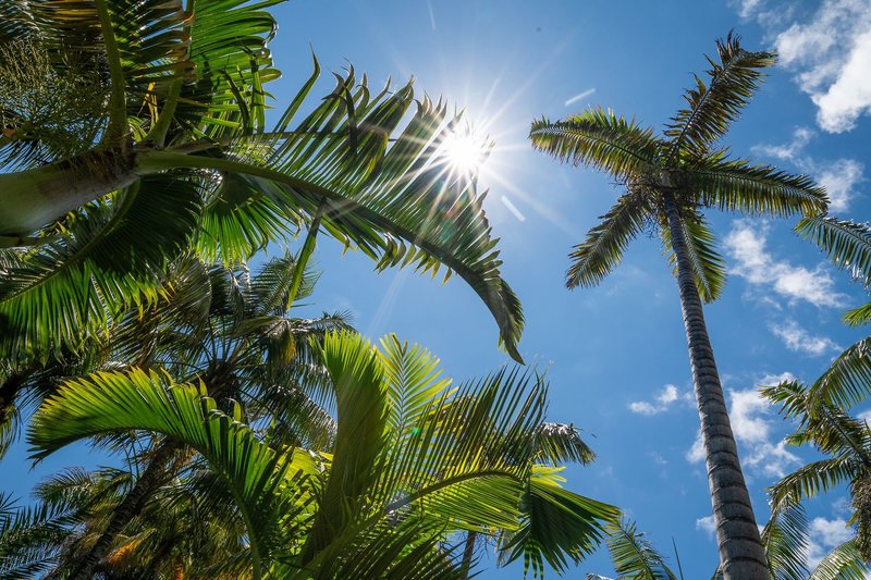 Hacienda San Jorge 8