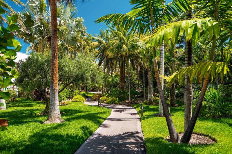 Hacienda San Jorge 11