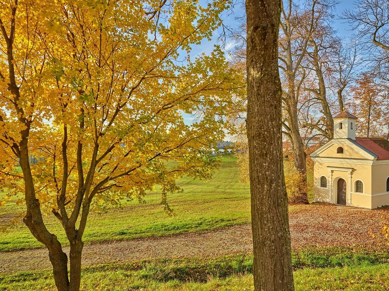 Parkhotel Bad Griesbach 8