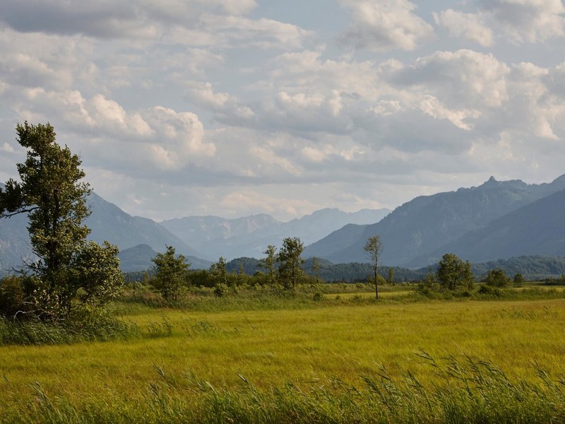 Alpenhof Murnau 6