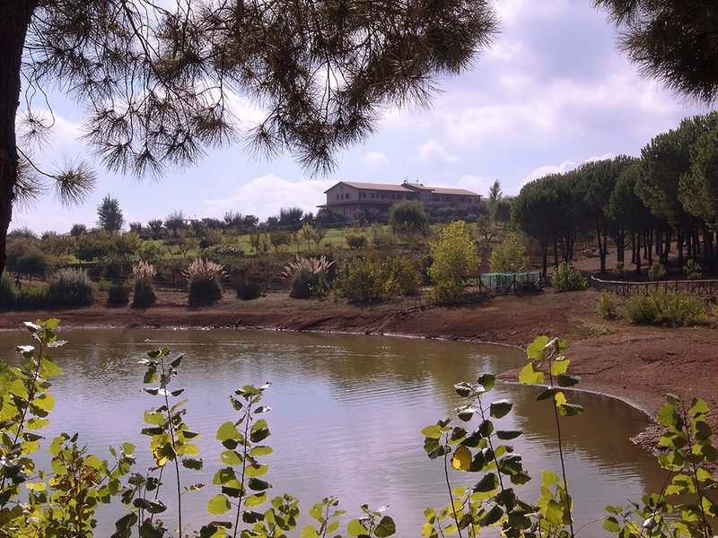 Popilia Country Resort 1