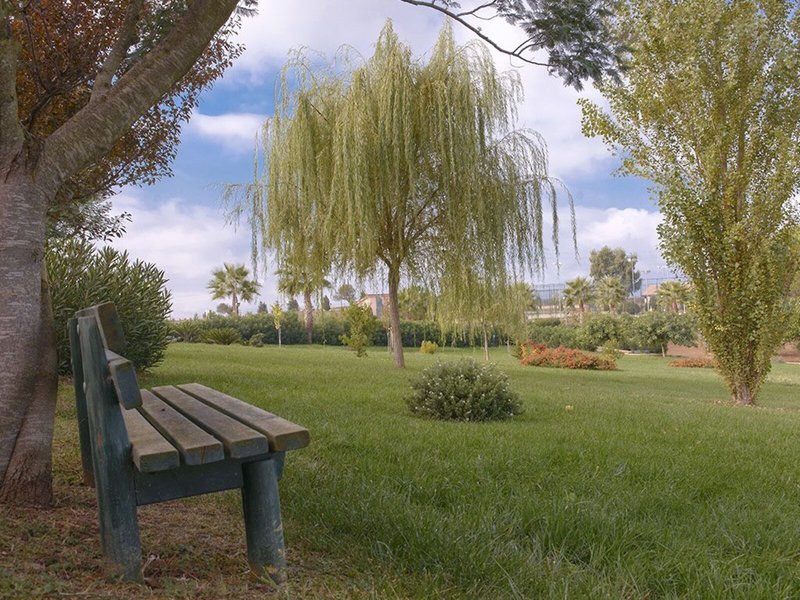 Popilia Country Resort 10