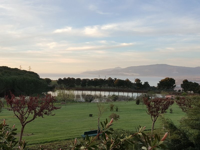 Popilia Country Resort 31