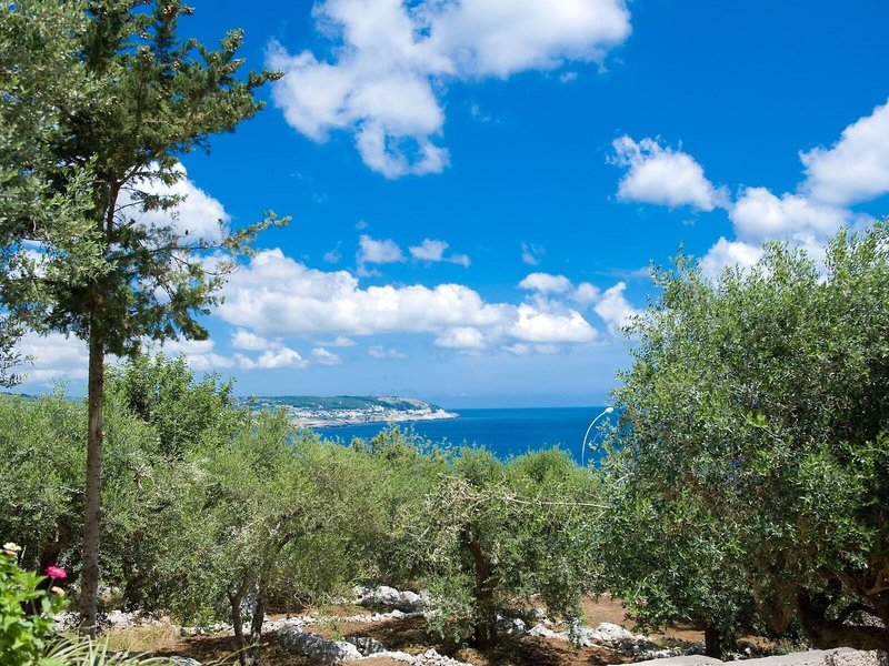 Hotel Orsa Maggiore 11