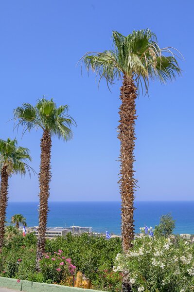 Aqua Sun Village 98