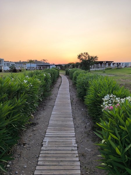 Asterias Beach Resort 9