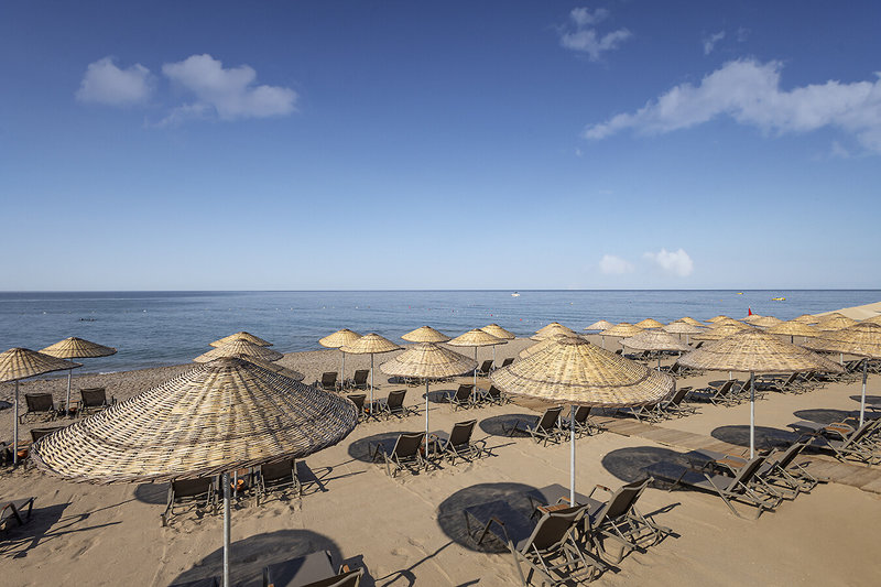 Berry Blue Hotels 15