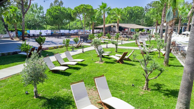 Berry Blue Hotels 45
