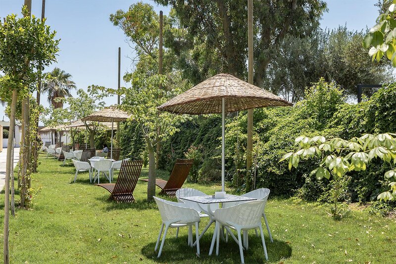 Berry Blue Hotels 47