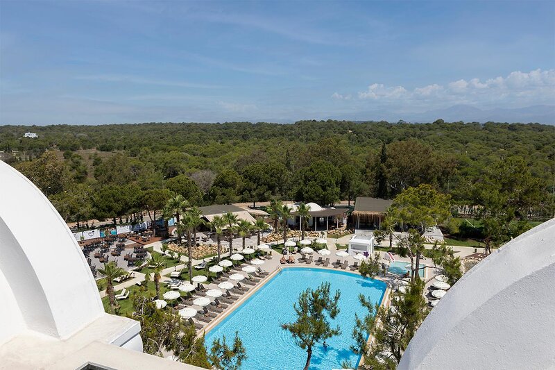 Berry Blue Hotels 58