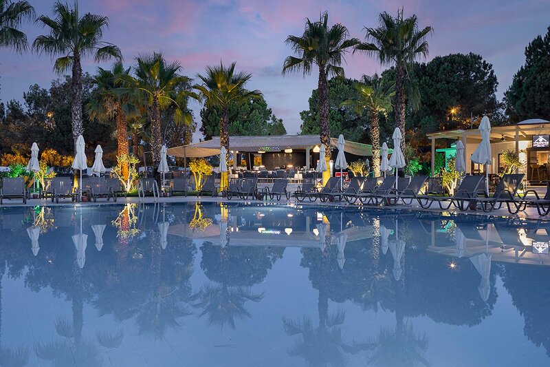 Berry Blue Hotels 66