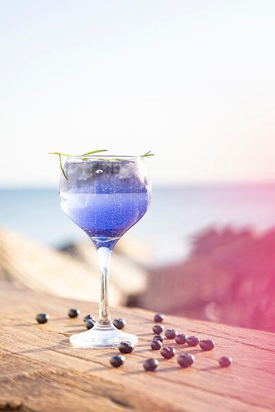Berry Blue Hotels 119