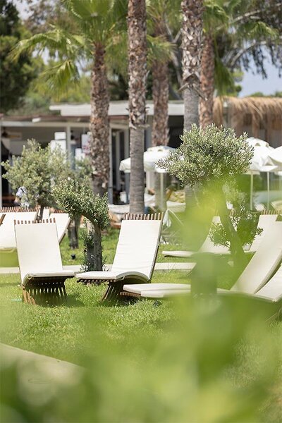 Berry Blue Hotels 141