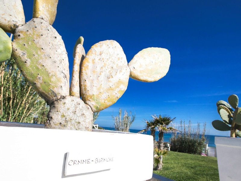 Canne Bianche Lifestyle & Hotel 8