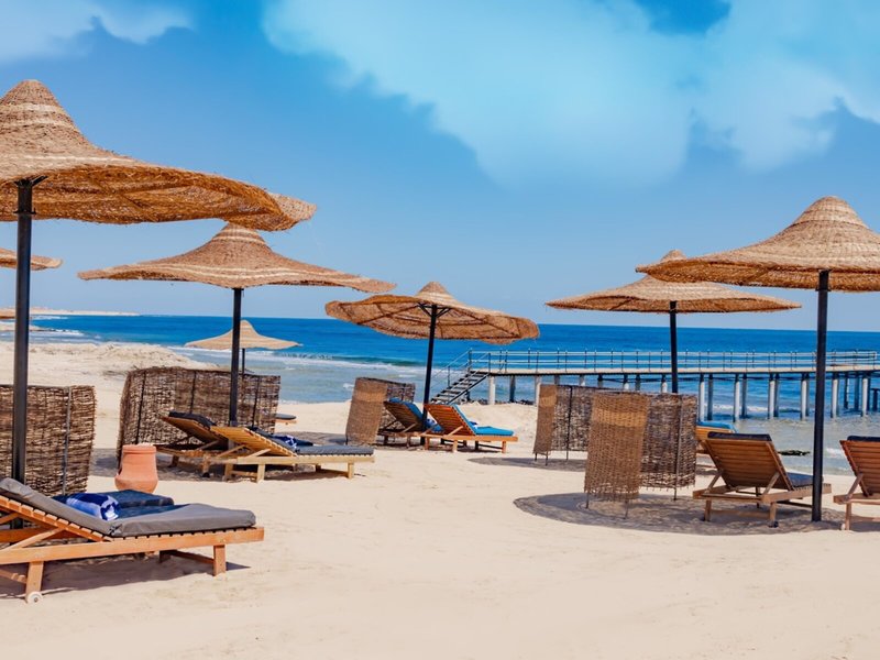 Coral Hills Resort Marsa Alam 4