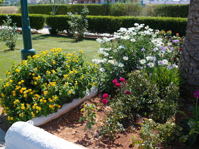 Altis Hotel 6