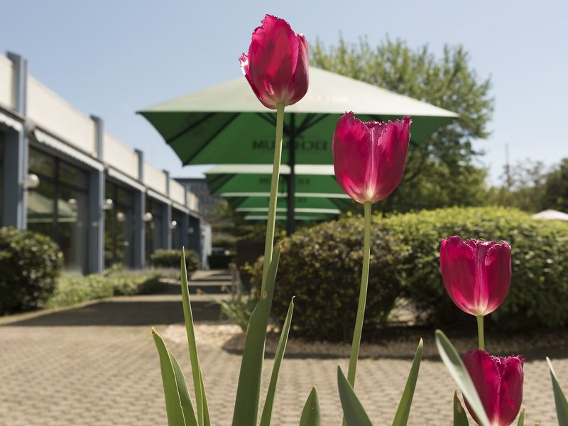 Mercure Hotel Mannheim am Friedensplatz 6 - Landscape