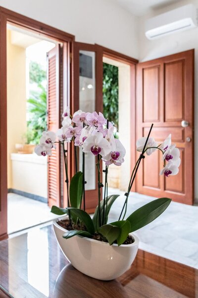 Anais Collection Hotels & Suites 109